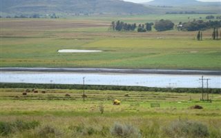 457 ha Farm in Clarens