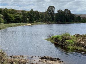 298.4 ha Farm in Swellendam