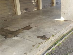 1 Bedroom Apartment in Parow Central