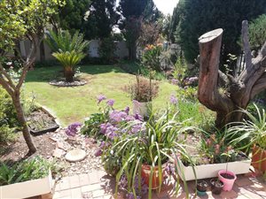 3 Bed House in North Riding
