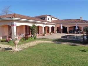 2.4 ha Farm in Rheenendal