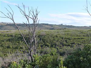 404 ha Farm in Goose Valley