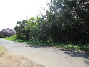 1327 m² Land available in Uvongo