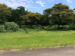 809 m² Land available in Cintsa