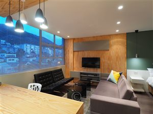 Studio Apartment in Sea Point