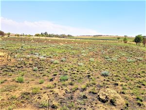 2.7 ha Farm in Drumblade AH