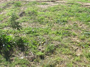 810 m² Land available in Knysna Heights