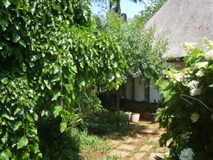 6 Bed House in Vryheid