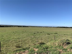 23 ha Smallholding in St Francis Bay