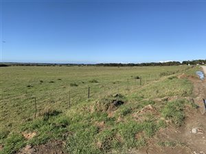 23 ha Smallholding in St Francis Bay