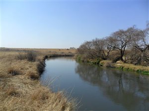 4.3 ha Land available in Daleside