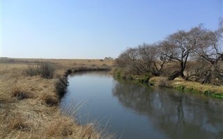 4.3 ha Land available in Daleside