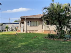 House in Bluff