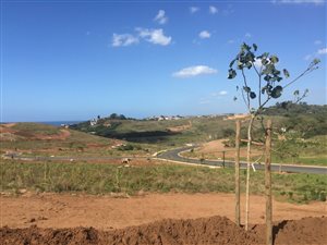 1550 m² Land available in Zululami Luxury Coastal Estate