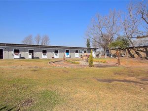 2.6 ha Farm in Rand Collieries