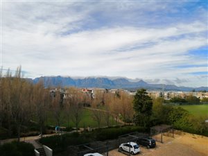 2 Bed Flat in Somerset West Central