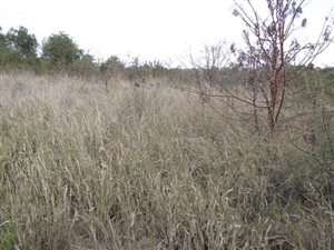 5 ha Land available in Donkerhoek