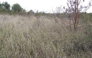 5 ha Land available in Donkerhoek