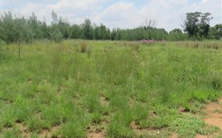 4.3 ha Land available in Tiegerpoort