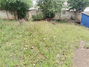 2 Bed House in Northdale