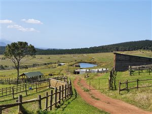 376 ha Farm in Wittedrift
