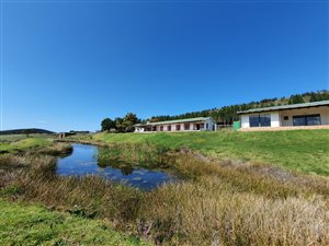 376 ha Farm in Wittedrift