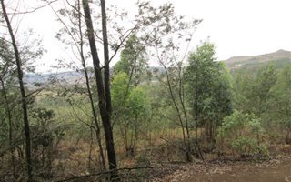 35 ha Farm in Vryheid