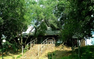 1.5 ha Farm in Parys
