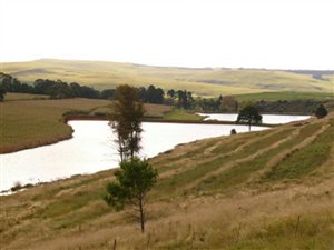 2 ha Land available in Kamberg