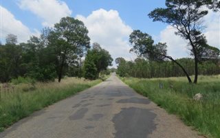 4.2 ha Land available in Tiegerpoort