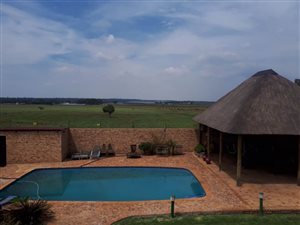 Farm in Bapsfontein