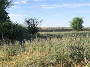 1850 m² Land available in Grimbeek Park