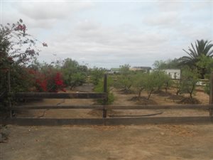 2.4 ha Farm in Moorreesburg