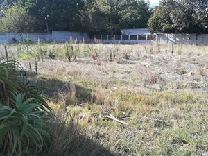 1148 m² Land available in Haumannshof