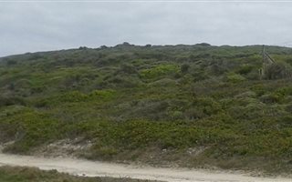 4676 ha Land available in Birkenhead