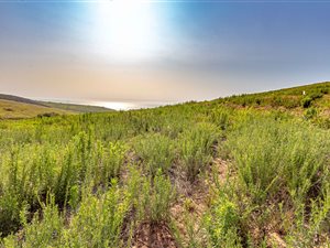 1150 m² Land available in Seaton Estate
