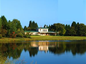 29 ha Farm in Kamberg