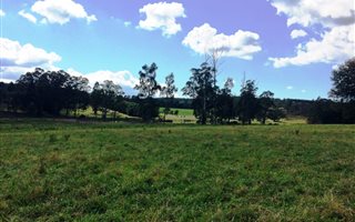20.9 ha Land available in Currys Post