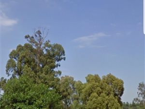 1.7 ha Land available in Vulcania
