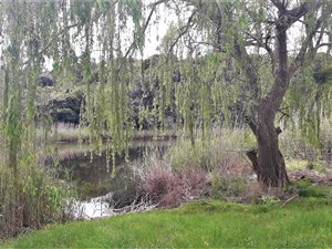 17.3 ha Farm in Stilbaai