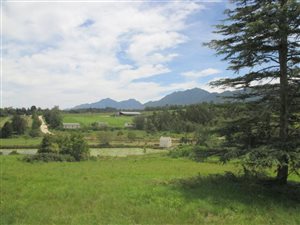 1652 m² Land available in Blanco