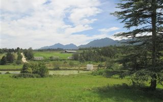 1652 m² Land available in Blanco