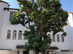 3 Bed Townhouse in Sunnyside