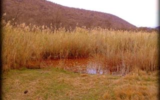 21.5 ha Farm in Lephalale (Ellisras)