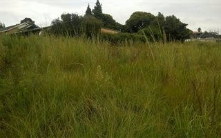 1115 m² Land available in Graskop