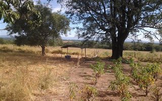 21 ha Farm in Tzaneen