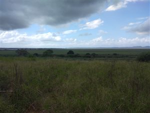 8102 m² Farm in St Lucia