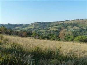 2.7 ha Land available in Alverstone