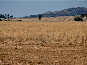 2 m² Land available in Nelsonia