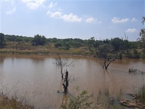 161 ha Farm in Elandsfontein AH